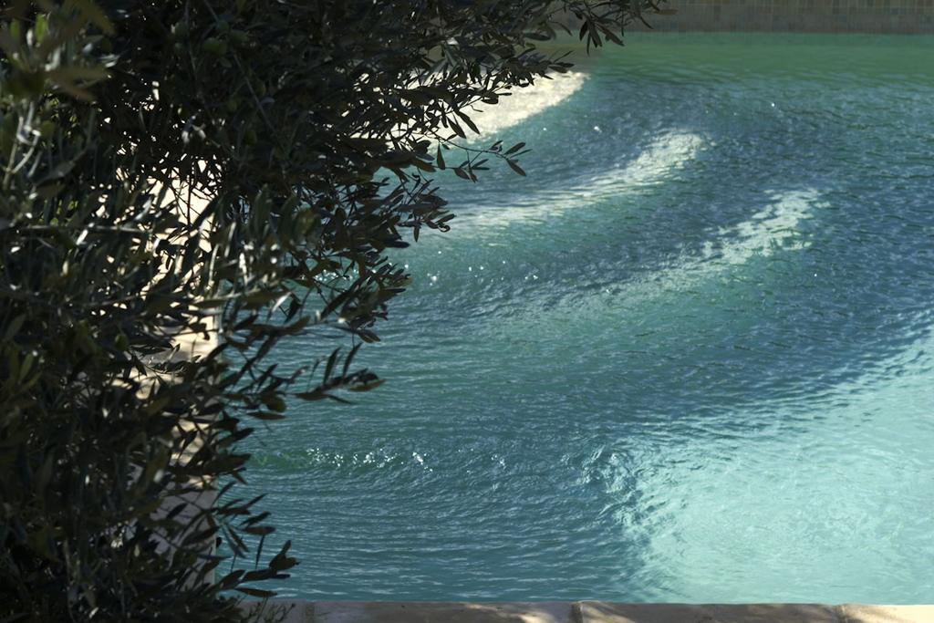مبيت وإفطار كوتيغانس Mas De L'Olivette المظهر الخارجي الصورة